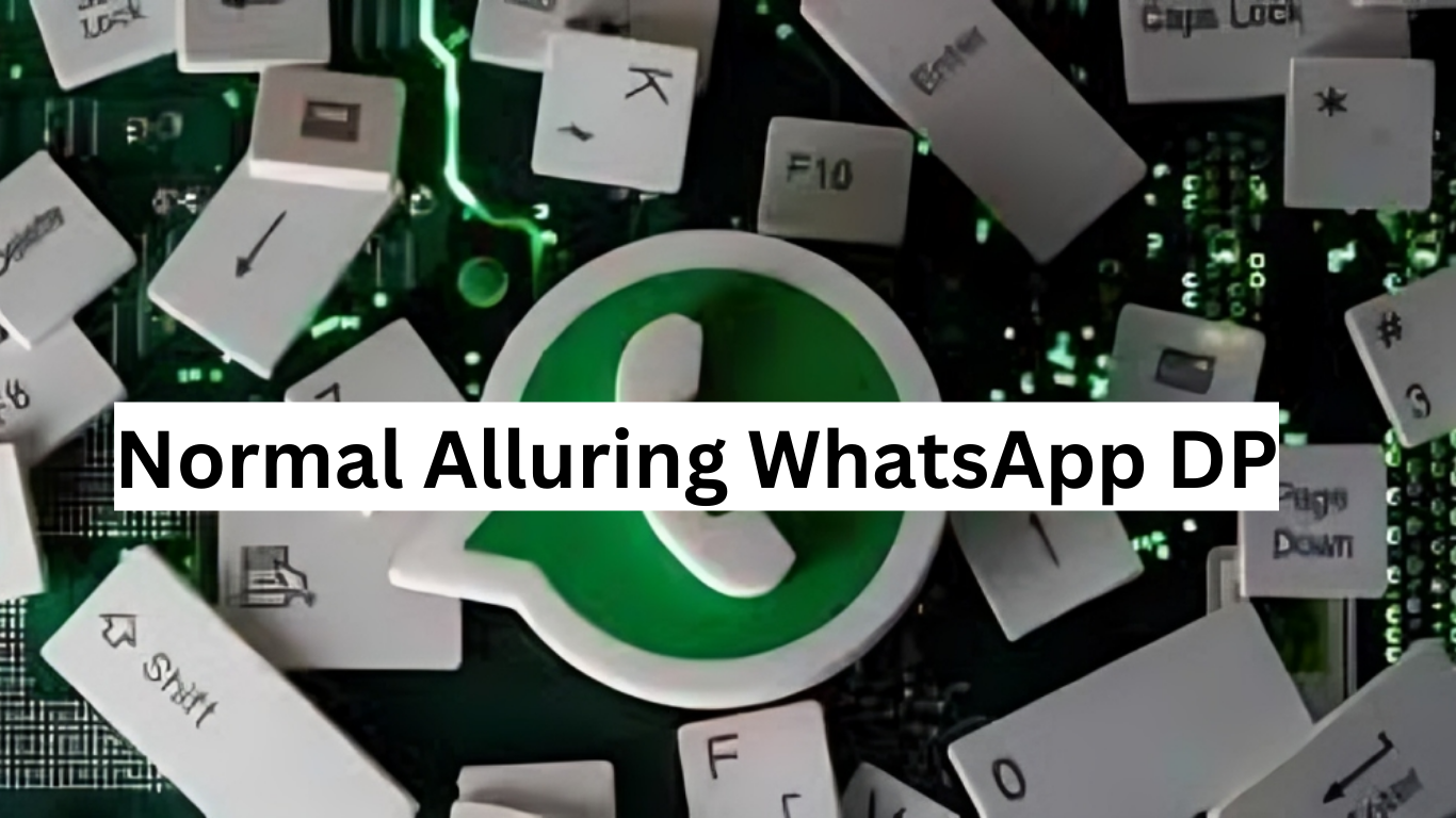 Normal Alluring WhatsApp DP